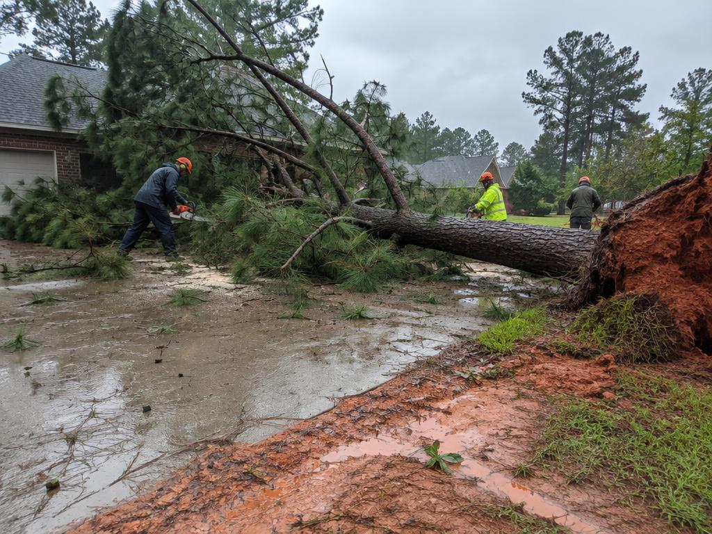 Crew cutting a storm-fallen pine off a driveway in the Upstate